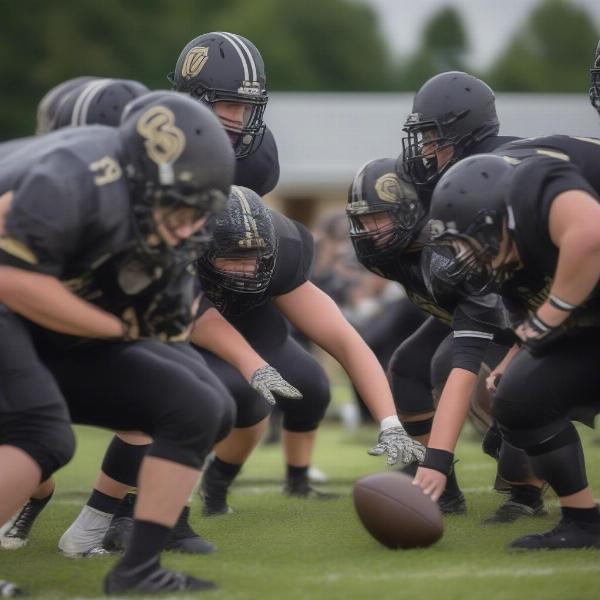 quaker valley football offensive line strategy