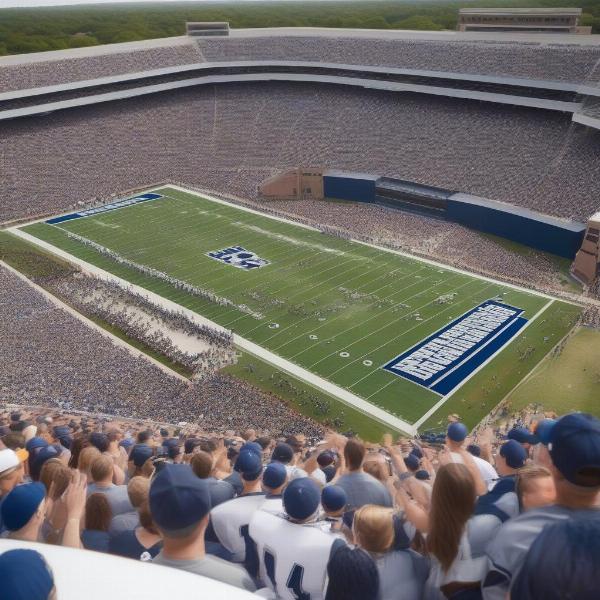 rice owls football crowd atmosphere
