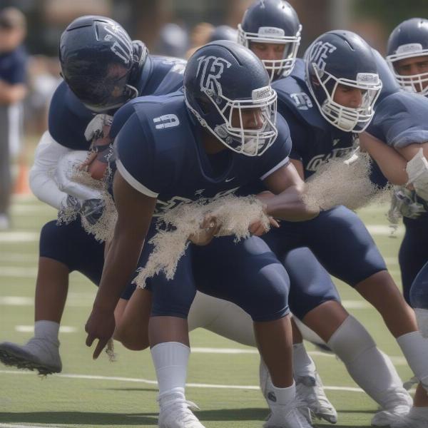 rice owls football players action