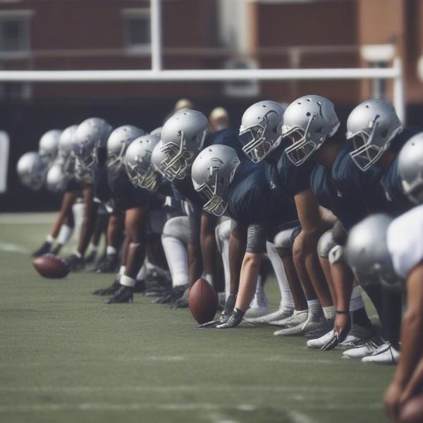 round-rock-football-offense-play