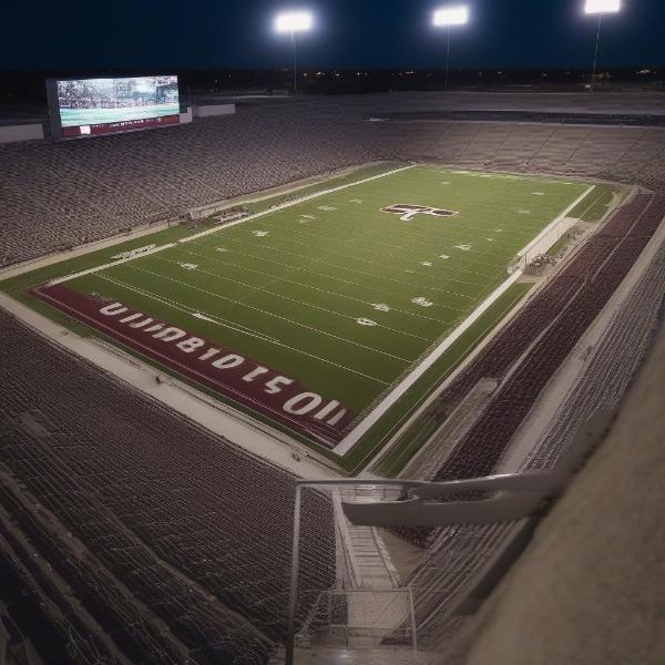round-rock-football-stadium-crowd