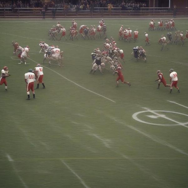 Science Hill Football Defensive Formation
