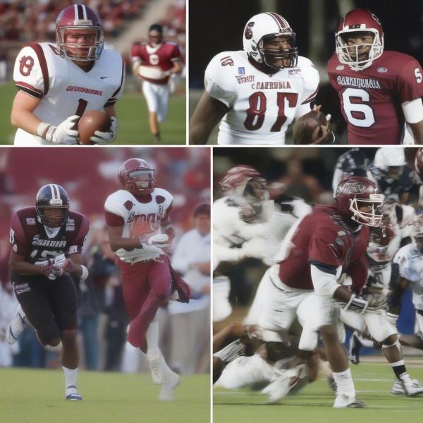 South Carolina Gamecocks football bowl game history and records