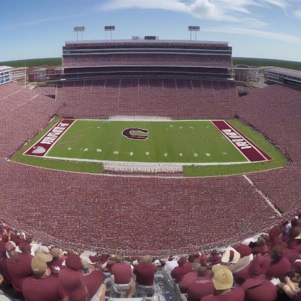 South Carolina football spring game crowd stadium