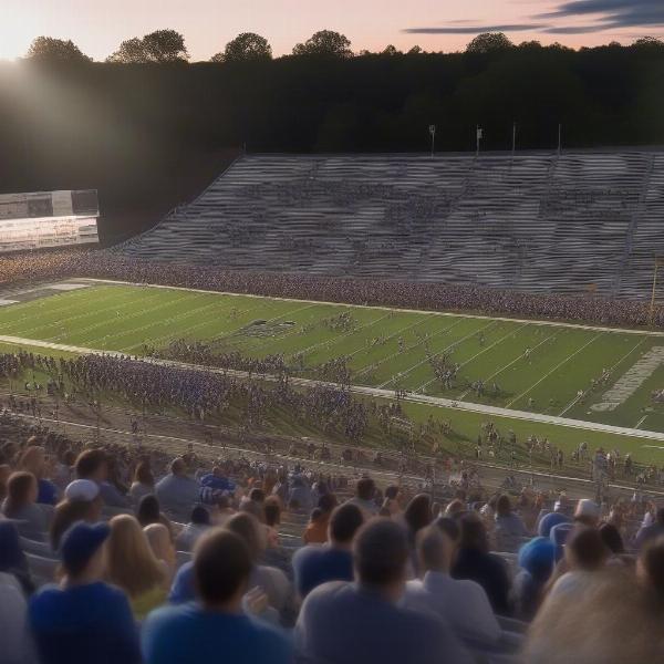 excited-crowd-at-spring-valley-football-game