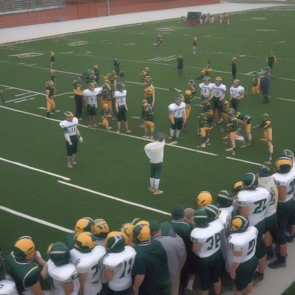 st eds football team preparation