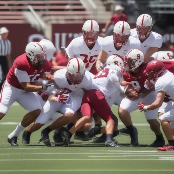 Stanford Cardinal Defense Spring Game
