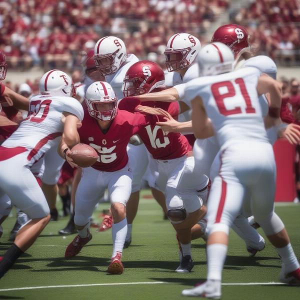 Stanford Cardinal Offense Spring Game