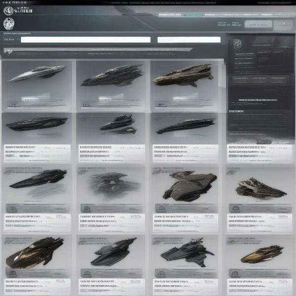 Star Citizen Pledge Store Interface