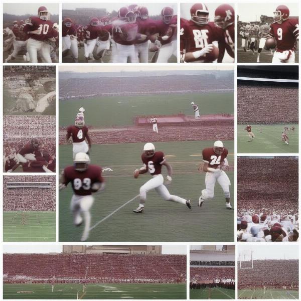 temple-owls-football-legacy