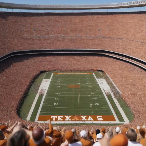 texas football fans excitement