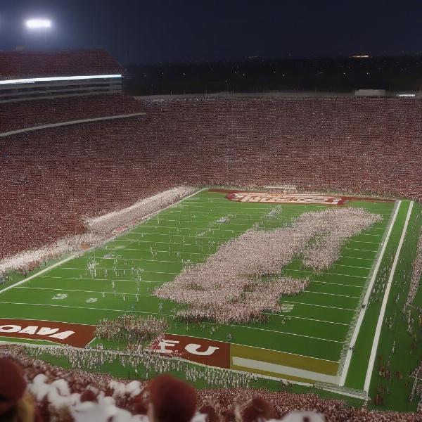 Cotton Bowl at Texas OU Game