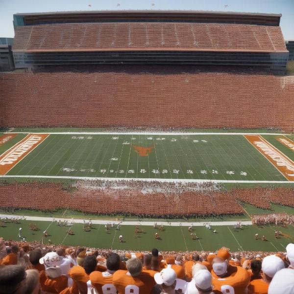 Excited Texas football fans cheering at spring game