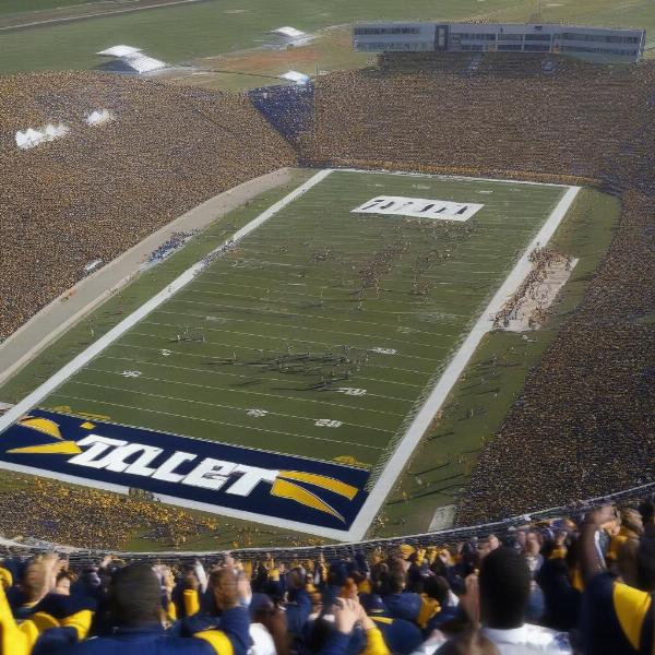 toledo rockets football bowl game atmosphere