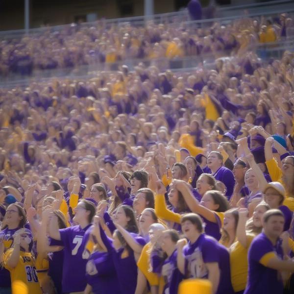excited-fans-uni-panthers-football