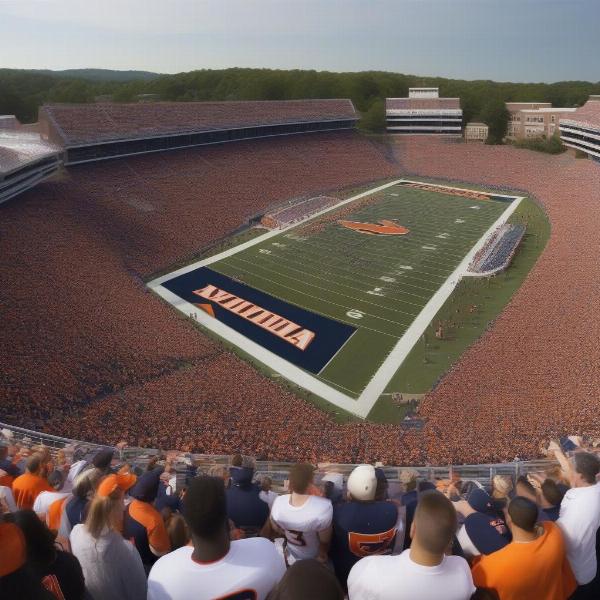 uva football game tickets with fans