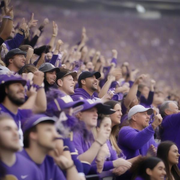 uw football crowd excitement