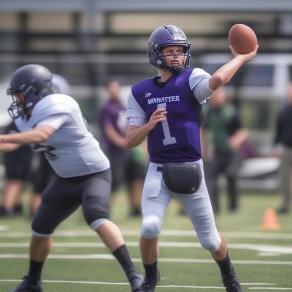 uw whitewater football quarterback action