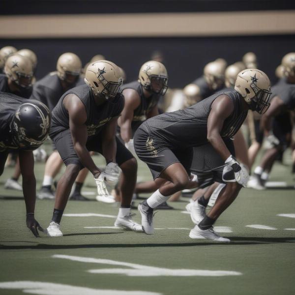 vanderbilt football team growth