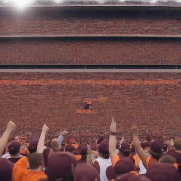 vt-fans-cheering-stadium