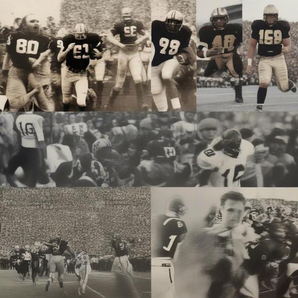 wake forest bowl game appearances