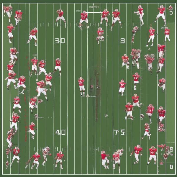 wake forest nc state football defensive strategies