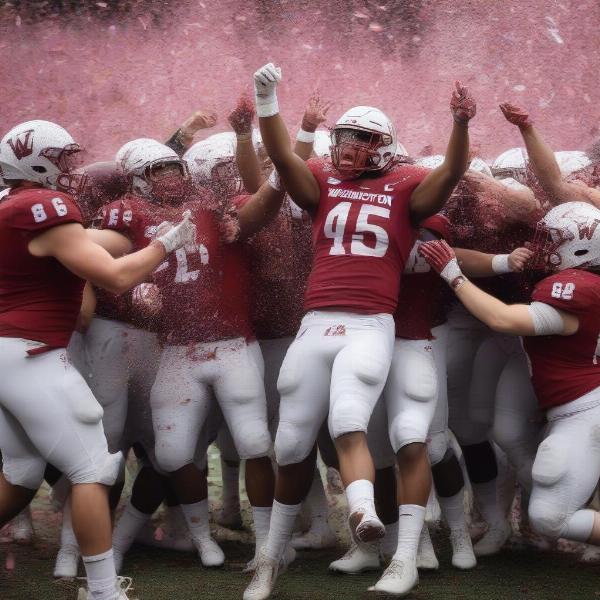 washington state football bowl game celebration