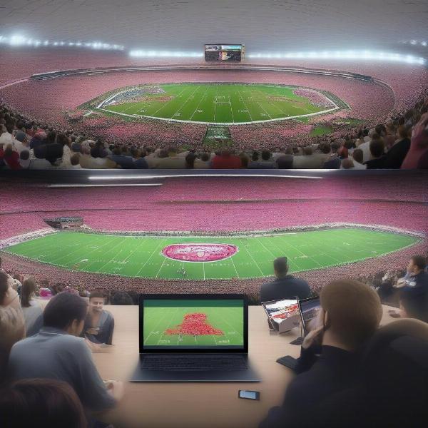 international-viewers-watching-rose-bowl