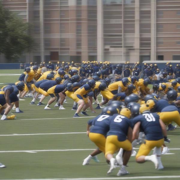 west virginia football practice session bowl game preparation