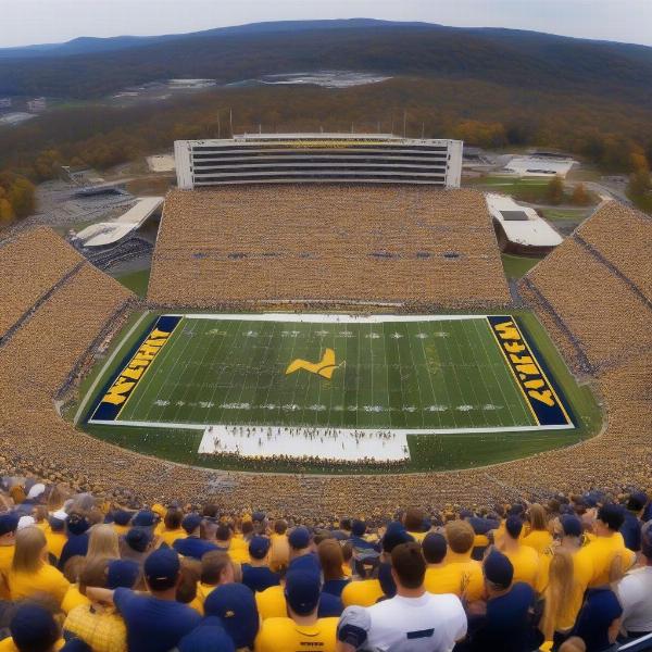 west-virginia-mountaineers-football-stadium