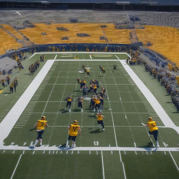wvu offensive play 2024 spring game