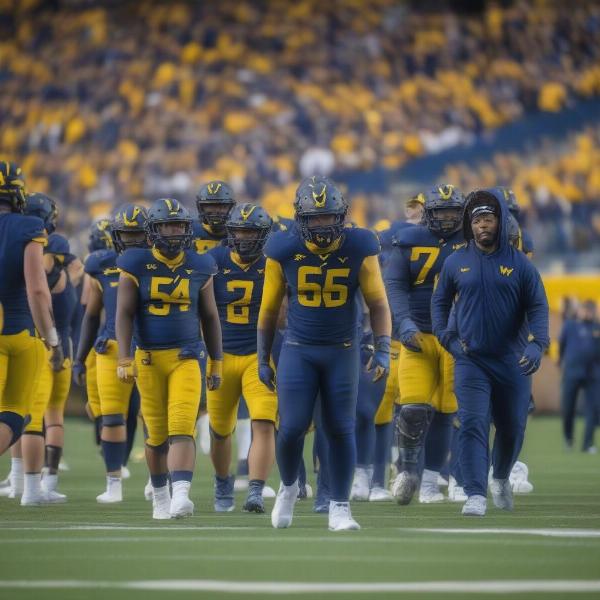 WVU football team post-game 2023 bowl game