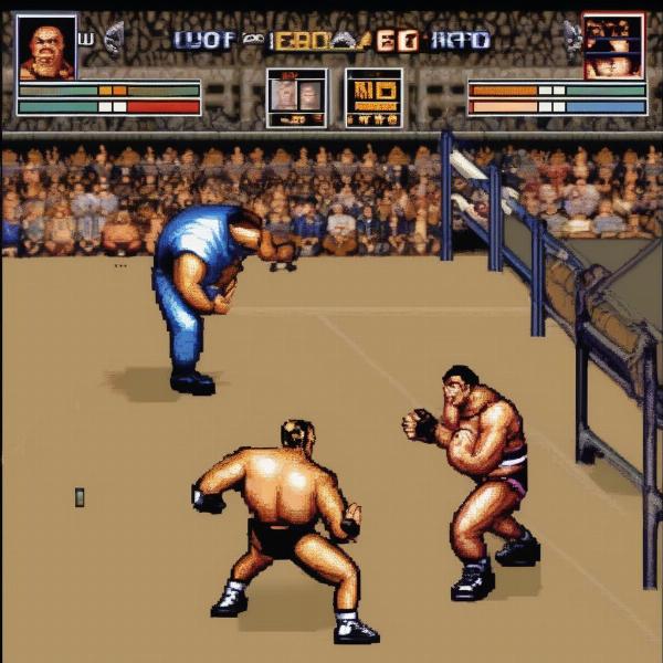 wwf war zone game boy intense match