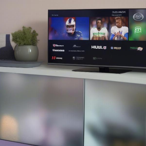 hulu-live-tv-xem-tran-dau-dolphins