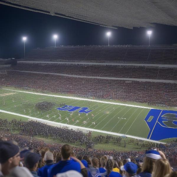 Excited fans in stands